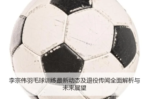 李宗伟羽毛球训练最新动态及退役传闻全面解析与未来展望